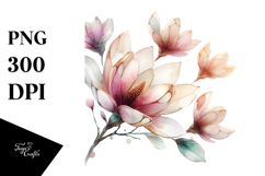 Magnolia PNG Product Image 1