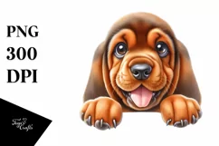 Cute Baby Bloodhound | Sublimation | Clipart Product Image 3