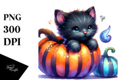 Cute Black Cat with Pumpkin Clipart Product Image 1