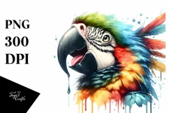 Funny Cute Macaw with Tongue Out | Watercolor Clipart Product Image 1
