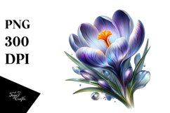 Glossy Shiny Crocus with Watercolor Splash | Sublimation | Product Image 1