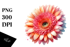 Watercolor Vibrant Gerbera Glossy Pets Product Image 1