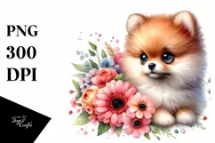 Watercolor Cute Baby Pomeranian | Clipart Product Image 3