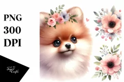 Watercolor Cute Baby Pomeranian | Clipart Product Image 3
