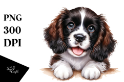 Smiling Springer Spaniel, SEO PNG Product Image 1