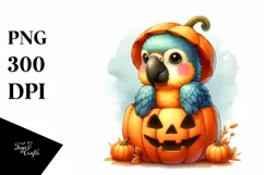 Cute Baby Macaw with Halloween Pumpkin PNG Product Image 3