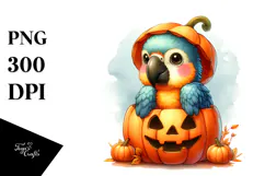 Cute Baby Macaw with Halloween Pumpkin PNG Product Image 1