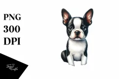 Watercolor Boston Terrier in Sand | Clipart Product Image 1