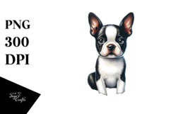 Watercolor Boston Terrier in Sand | Clipart Product Image 1