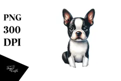 Watercolor Boston Terrier in Sand | Clipart Product Image 1
