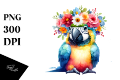 Cute Baby Macaw, Transparent PNG Product Image 1