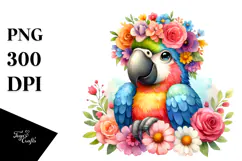 Cute Baby Macaw, Transparent PNG Product Image 1
