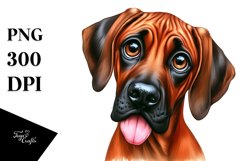 Sublimation|Clipart Product Image 1