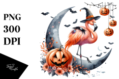 Flamingo on Moon Halloween PNG Product Image 1