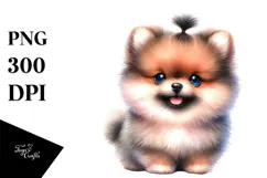 Expressive Pomeranian Portrait, Transparent PNG Product Image 1