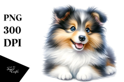 Watercolor Baby Shetland Sheepdog PNG Product Image 1