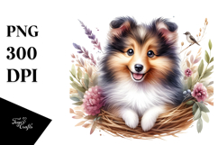 Cute Happy Baby Shetland Sheepdog with Big Eyes PNG Product Image 1