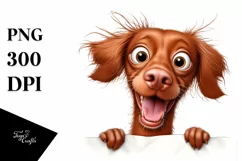 Colorful Crazy Looking Vizsla | Sublimation | Clipart Product Image 3