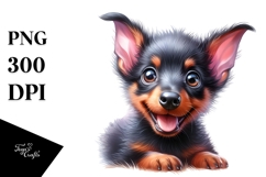 Cute Baby Doberman Pinscher with Crazy Furr Product Image 1