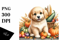 Detailed Baby Dog Harvest | Clipart Product Image 1