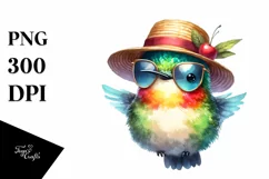 Cute Baby Hummingbird with Sun es and Sun Hat Product Image 1