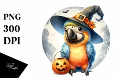 Cute Baby Macaw in Halloween Attire, High-Quality Image Product Image 3