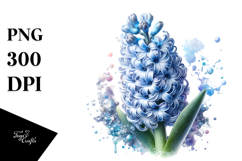 Hyacinth made of PNG Product Image 1