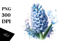 Hyacinth made of PNG Product Image 1