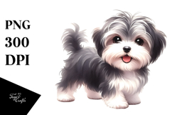 Expressive Baby Yorkipoo PNG Product Image 1