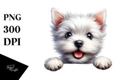 Enthusiastic Cute Crazy Baby | Sublimation Clipart Product Image 3