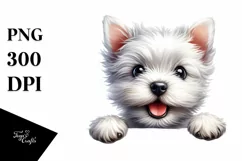 Enthusiastic Cute Crazy Baby | Sublimation Clipart Product Image 3