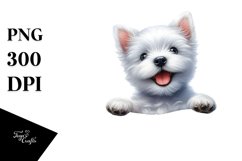Cute Baby West Highland White Terrier | Sublimation Clipart Product Image 3
