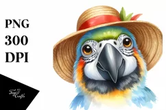 Funny Parrot Portrait with Sun Hat PNG Product Image 3