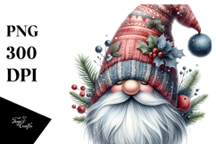 Detailed Winter Gnome, White Background Product Image 1