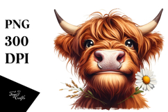 Watercolor Highland Cow Portrait Daisy | Sublimation Clipart Product Image 1