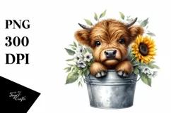 Cute Baby Highland Cow PNG Product Image 1