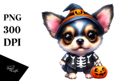 Expressive Baby Chihuahua, PNG Product Image 1
