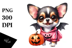 Expressive Baby Chihuahua, PNG Product Image 1