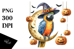 Macaw Dressed for Halloween PNG Product Image 1
