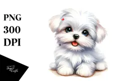 Baby Maltese with Big Eyes PNG Product Image 1