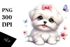 Baby Maltese with Big Eyes PNG Product Image 1
