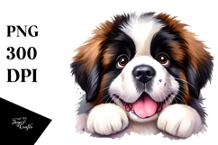 Cute Saint Bernard PNG Product Image 1