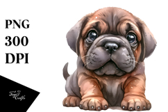 Expressive Baby Mastiff, PNG Product Image 1