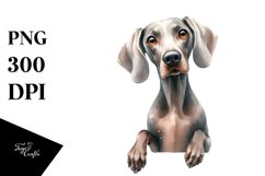 Watercolor Weimaraner Clipart Product Image 1