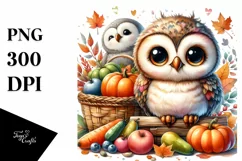 Baby Owl Holding Basket | Sublimation | Clipart Product Image 1