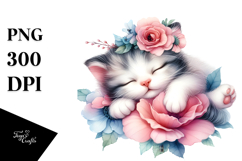 Cute Baby Cat Sleeping, Transparent PNG Product Image 1