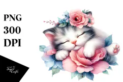 Cute Baby Cat Sleeping, Transparent PNG Product Image 1