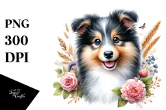 Baby Collie with Big Eyes PNG Product Image 1