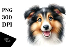 Baby Collie with Big Eyes PNG Product Image 1