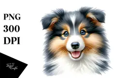Baby Collie with Big Eyes PNG Product Image 1
